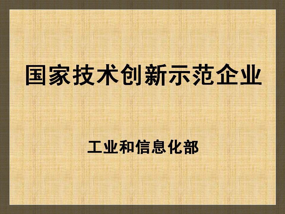 國家技術創新示范企業